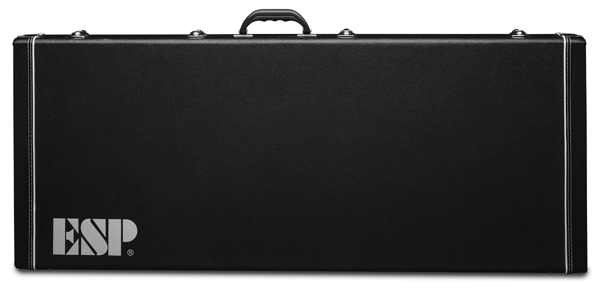 EX GUITAR FORM FIT CASE LH