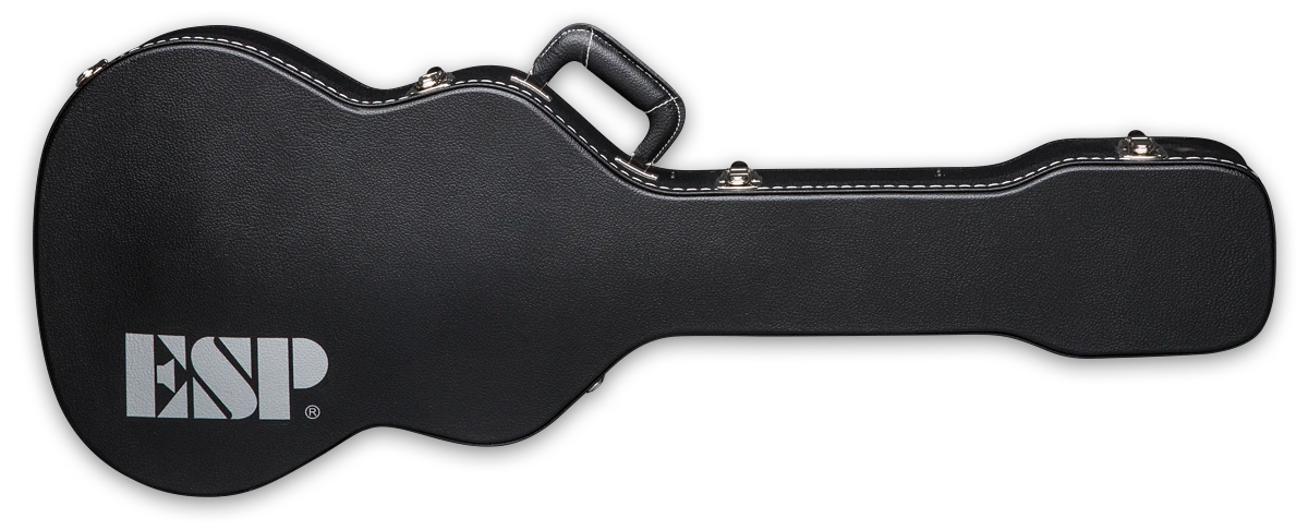 THIN LINE GUITAR FORM FIT CASE